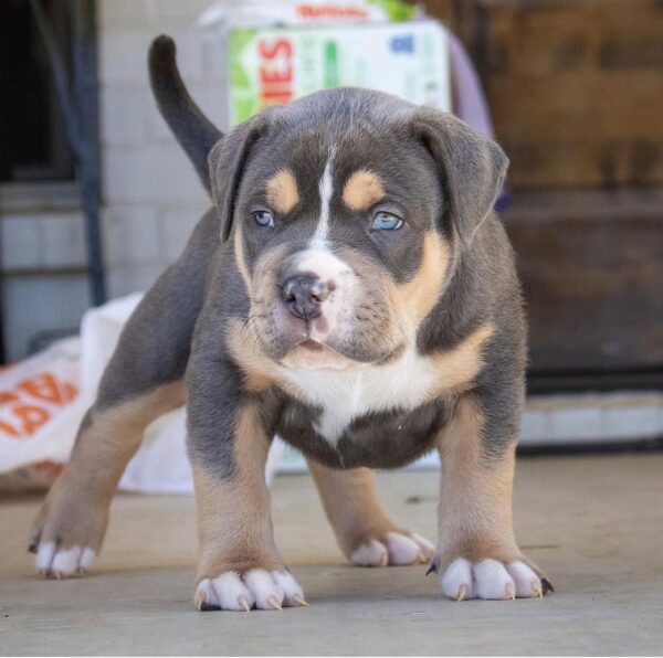 Chloe